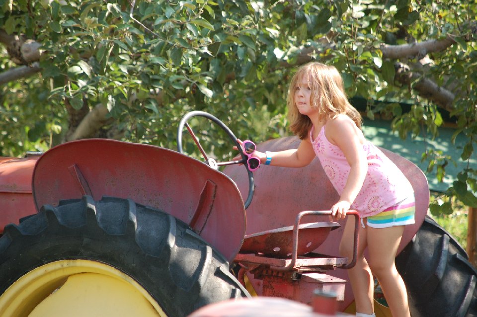 SUMMER (1025)